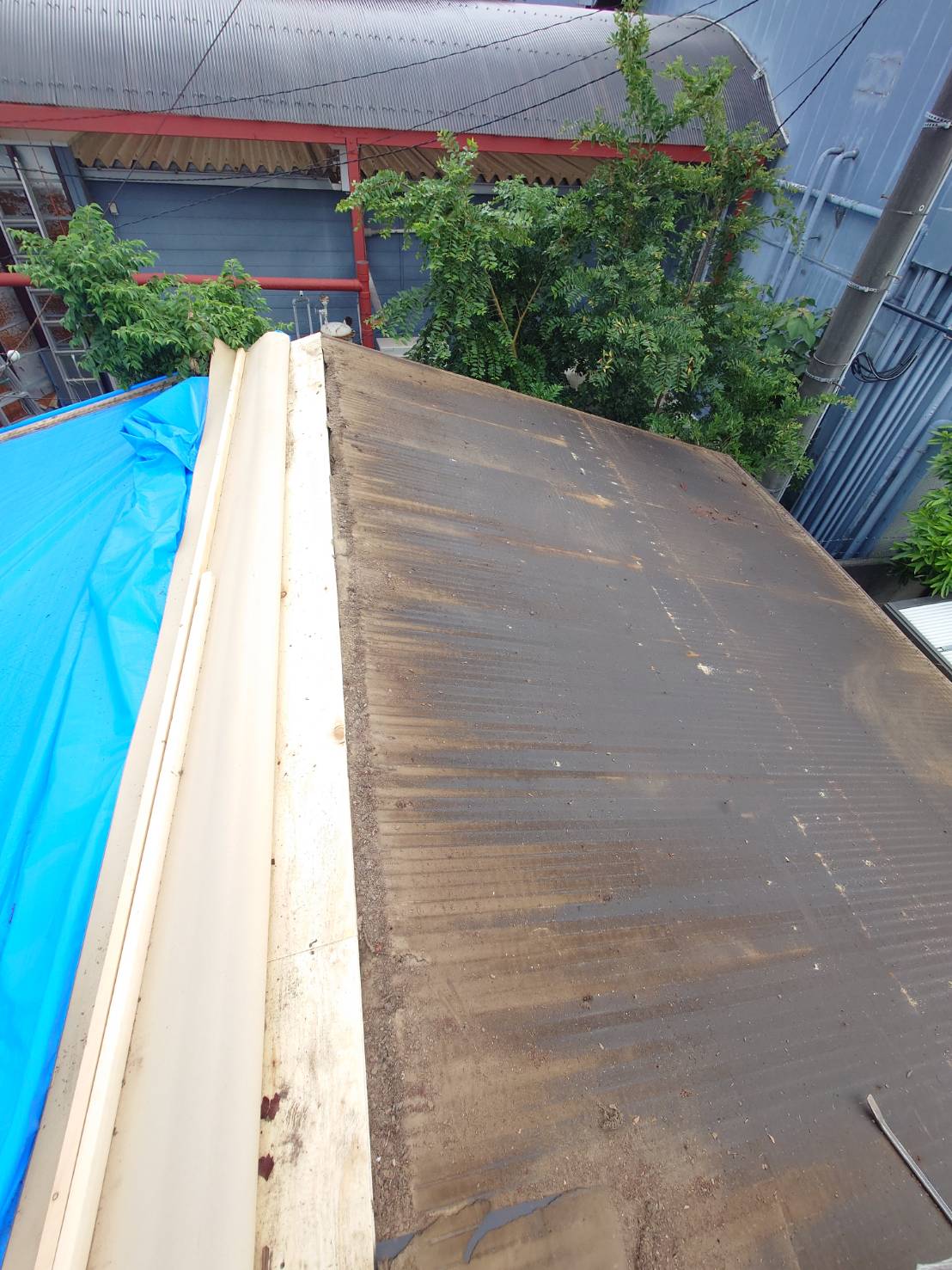 屋根その3