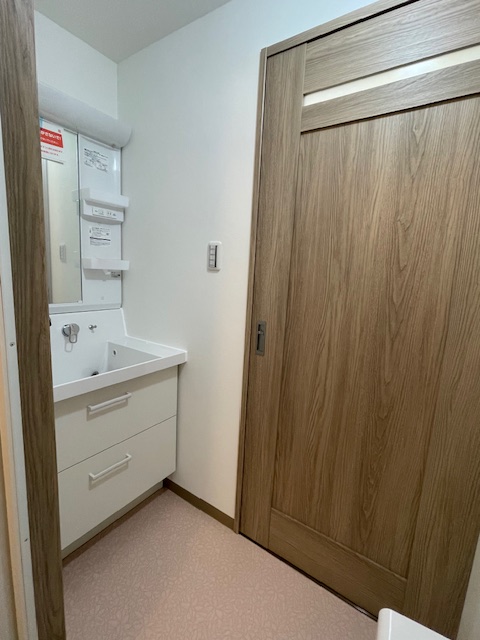 洗面所入口引戸