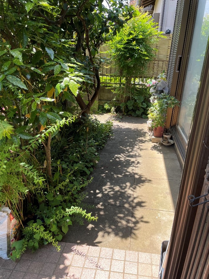 屋外